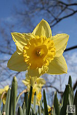 Click to see YIMG_0775.JPG