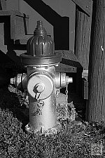 Click to see YIMG_0811.JPG