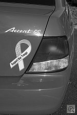 Click to see YIMG_0831.JPG