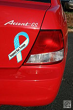 Click to see YIMG_0832.JPG