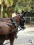 Click to see YCIMG0788.JPG