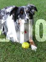 Click to see F10YPICT0031.JPG