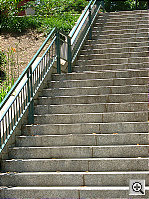 Click to see YDSCF0132.JPG