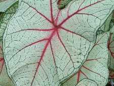 Click to see YDSCF0002.JPG