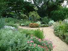 Click to see YDSCF0007.JPG