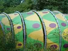 Click to see YDSCF0008.JPG