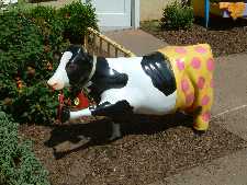 Click to see YDSCF0009.JPG