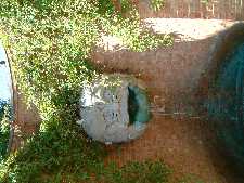 Click to see YDSCF0011.JPG