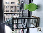 Click to see YDSCF2269.JPG