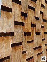 Click to see YDSC00823.JPG