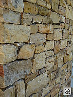 Click to see YDSC00824.JPG