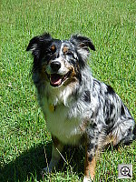 Click to see YDSC00835.JPG