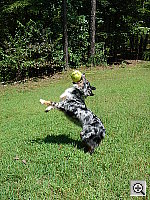 Click to see YDSC00843.JPG