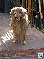 Click to see YP5190004.JPG