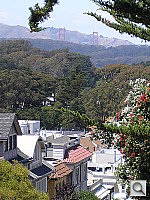 Click to see YP6060013.JPG