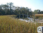 Click to see YP1010001.jpg