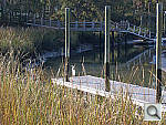 Click to see YP1010002.jpg