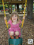 Click to see YP5060011.jpg