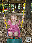 Click to see YP5060012.jpg