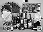 Click to see FPZ5hSLCOL_BNW.jpg