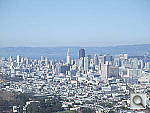 Click to see YDSCF0296.JPG