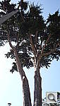 Click to see YP1010423.JPG