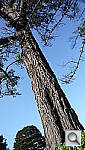 Click to see YP1010424.JPG