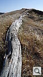 Click to see YP1010434.JPG