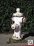 Click to see YP1010468.JPG
