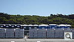 Click to see YP1010477.JPG