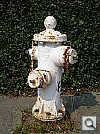 Click to see YP1020389.JPG