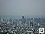 Click to see YP1020392.JPG