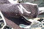 Click to see YP1020399.JPG