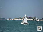 Click to see YP1020420.JPG