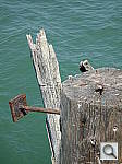 Click to see YP1020422.JPG