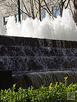 Click to see YP1030526.JPG