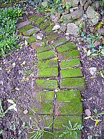 Click to see YP1030542.JPG