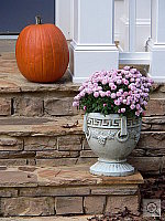 Click to see YP1000889.JPG