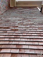 Click to see YP1000891.JPG