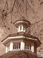 Click to see YP1010070.JPG