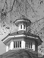 Click to see YP1010071.JPG