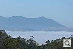 Click to see YP1000333.JPG