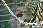 Click to see YP1000394.JPG