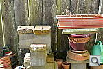 Click to see YP1000484.JPG