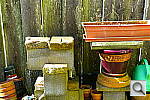 Click to see YP1000485.JPG