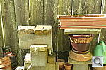 Click to see YP1000486.JPG