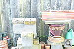 Click to see YP1000487.JPG