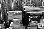 Click to see YP1000491.JPG