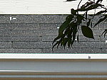 Click to see FZ18FARWTDT.JPG