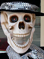 Click to see YP1010662.JPG